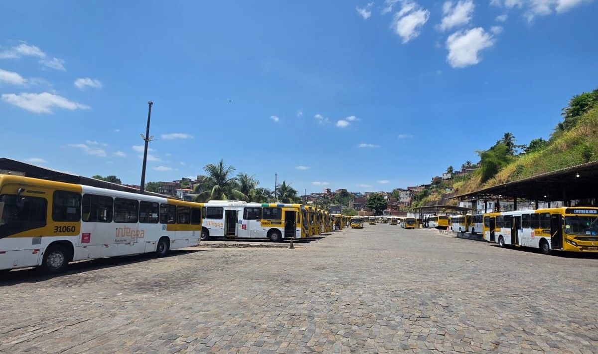 A fiscaliza&ccedil;&atilde;o foi motivada por den&uacute;ncias de eleitores e continuava em outras garagens da capital. | Foto: MP-BA