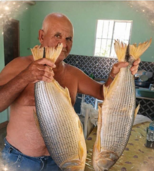 Um idoso de 66 anos morreu ap&oacute;s ser atacado por um enxame de abelhas na zona rural de Lap&atilde;o, na Bahia, na &uacute;ltima quarta-feira (1&ordm;). | Foto: Arquivo Pessoal